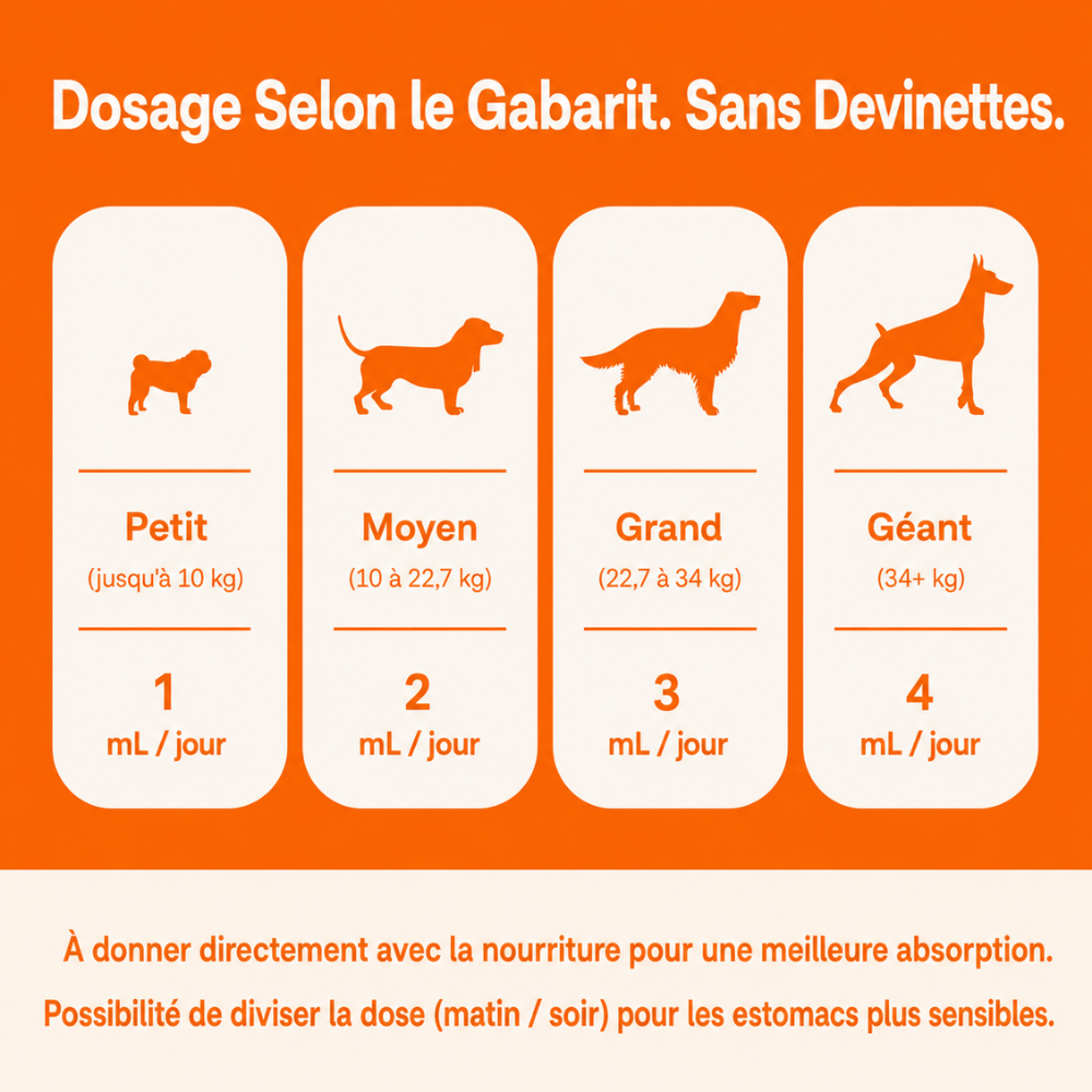 Actif Canin — Relance Le Métabolisme & Brûle Les Graisses
