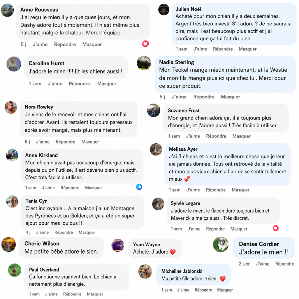 Actif Canin — Relance Le Métabolisme & Brûle Les Graisses